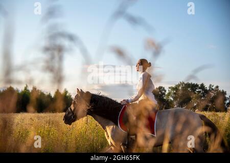 Una ragazza in una camicia bianca corre un cavallo su un campo. La foto è stata scattata attraverso l'erba. Foto Stock