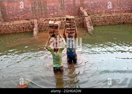 Un migrante del Bangladesh tiene blocchi di mattoni sopra la testa per trasportarlo sull'altro lato del fiume in un campo di mattoni a Dhaka. Circa 400,000 migranti a basso reddito arrivano a Dhaka ogni anno per lavorare a brickfields, nella fabbrica di mattoni milioni di mattoni vengono bruciati anche se questo influisce sull'ambiente in Bangladesh. Lavoratore tirando un carrello caricato con mattoni pronti per essere bruciati a Keraniganj campo di mattoni. I lavoratori di campo di mattone lavorano 7 giorni alla settimana e ottengono 350 BDT ($ 4.37) al giorno. Il 4 settembre 2021 a Keraniganj,Dhaka, Bangladesh Foto di Habibur Rahman/ABACAPRESS.COM Foto Stock