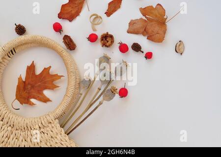 composizione delle foglie autunnali con sacchetto per la spesa su sfondo bianco Foto Stock