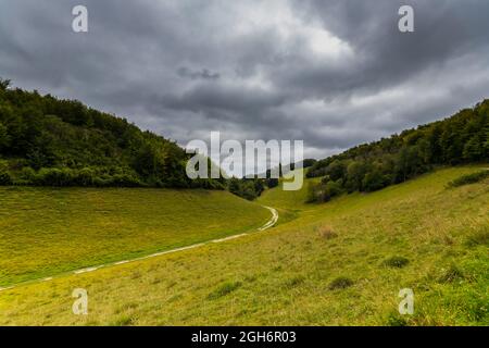 Arundel Park, West Sussex, Regno Unito Foto Stock