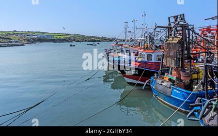 Una linea di barche da pesca Cockle allineati nel villaggio di pescatori di Clogherhead, County Louth, Irlanda. Foto Stock