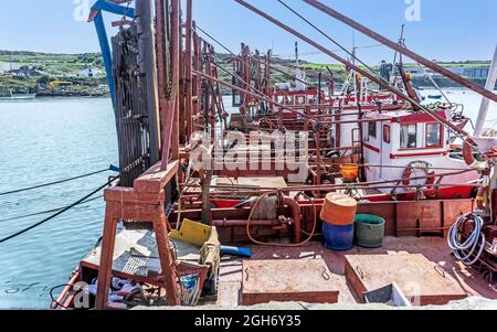 Una linea di barche da pesca Cockle allineate nel villaggio di pescatori di Clogherhead, County Louth, Dublino, Irlanda. Foto Stock