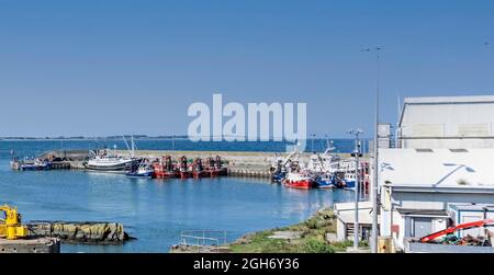 Il porto nel piccolo villaggio di pescatori di Clogherhead nella contea di Louth, Irlanda. Foto Stock