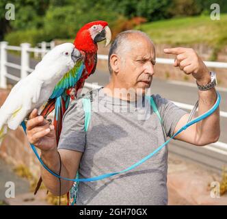 Arley. REGNO UNITO. 5 Settembre 2021. Tempo britannico: Con le alte temperature di oggi, e previsioni per i prossimi giorni, il sole, clima caldo certamente porta turisti di ogni tipo in campagna. Questa famiglia, compresi i pappagalli per animali domestici, sembra godere di una pausa dalla vita cittadina con una rinfrescante passeggiata vicino al fiume a Arley, Worcestershire. Credit: Lee Hudson/Alamy Live News Foto Stock