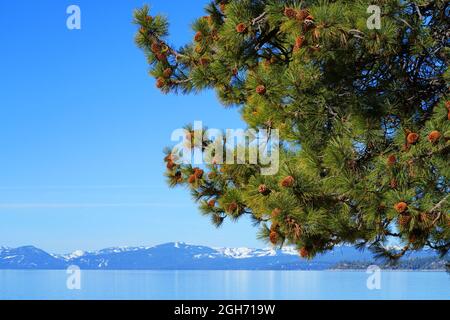 Vista del lago Tahoe con montagne innevate e foreste viste dal villaggio Incline sul lato del Nevada Foto Stock