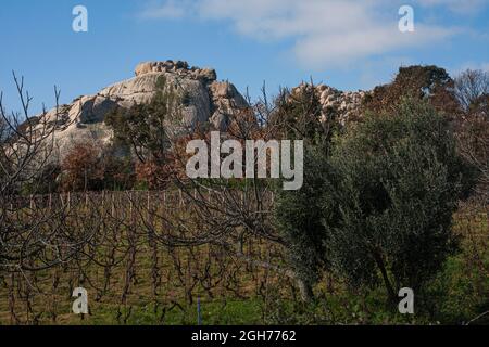 Questa la Valle della Lune, Valle della Luna, nella Sardegna nord-occidentale. Si trova nella zona vicina alla città di Aggius ed è un'area agricola Foto Stock