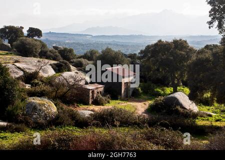 Questa la Valle della Lune, Valle della Luna, nella Sardegna nord-occidentale. Si trova nella zona vicina alla città di Aggius ed è un'area agricola Foto Stock