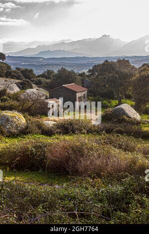 Questa la Valle della Lune, Valle della Luna, nella Sardegna nord-occidentale. Si trova nella zona vicina alla città di Aggius ed è un'area agricola Foto Stock