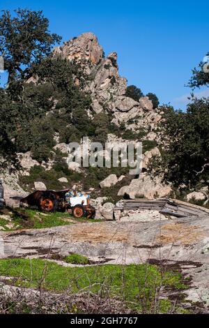 Questa la Valle della Lune, Valle della Luna, nella Sardegna nord-occidentale. Si trova nella zona vicina alla città di Aggius ed è un'area agricola Foto Stock