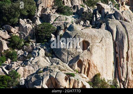 Questa la Valle della Lune, Valle della Luna, nella Sardegna nord-occidentale. Si trova nella zona vicina alla città di Aggius ed è un'area agricola Foto Stock