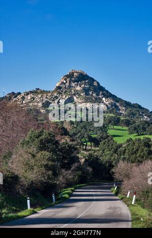 Questa la Valle della Lune, Valle della Luna, nella Sardegna nord-occidentale. Si trova nella zona vicina alla città di Aggius ed è un'area agricola Foto Stock