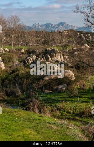 Questa la Valle della Lune, Valle della Luna, nella Sardegna nord-occidentale. Si trova nella zona vicina alla città di Aggius ed è un'area agricola Foto Stock