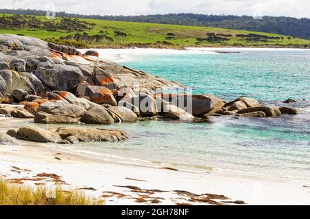 Massi di granito ricoperti di lichen arancione in una piccola spiaggia di sabbia bianca - The Gardens, Tasmania, Australia Foto Stock