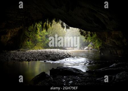 Moira Gate Arch, costa occidentale, nuova zelanda Foto Stock