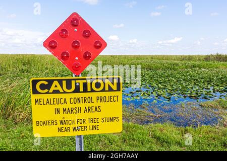 Miami Florida, i-75 Interstate 75 Alligator Alley Everglades, ecosistema di paludi d'acqua dolce specie invasive segno Melaleuca Control Project Foto Stock