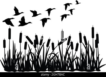 la silhouette vettoriale del branco di uccello d'anatra vola sulle erbe paludose isolate su sfondo bianco. gruppo di anatre selvatiche e piante di palude delle tifacee Illustrazione Vettoriale