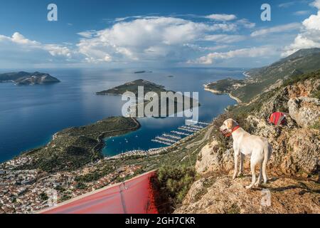 Splendida vista sulla città turistica di Kas in Turchia. Foto Stock