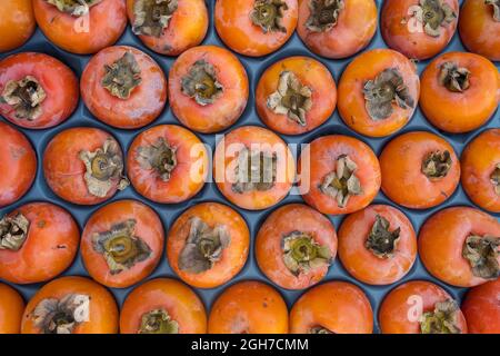Delizioso primo piano di frutti di persimmon maturi sulla bancarella del mercato Foto Stock