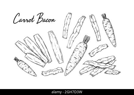 Set di bacon a carota disegnata a mano. Illustrazione vettoriale in stile di schizzo Illustrazione Vettoriale