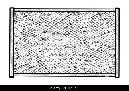 Cornice di miele con cera d'api. Nido d'ape in fondazione di cera e cornice di legno. Illustrazione vettoriale disegnata a mano Illustrazione Vettoriale