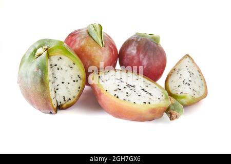 Mela peruviana cactus frutta isolato su sfondo bianco. Nome scientifico Cereus repandu Foto Stock