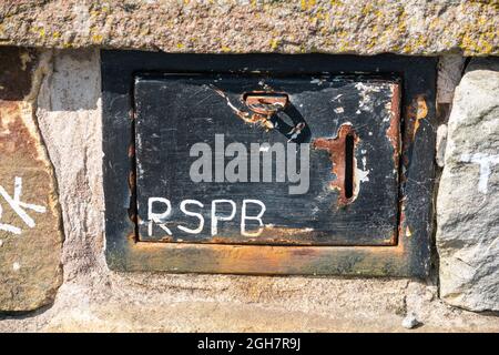 Vecchia scatola di donazioni RSPB in un muro, Geltsdale, Cumbria Foto Stock