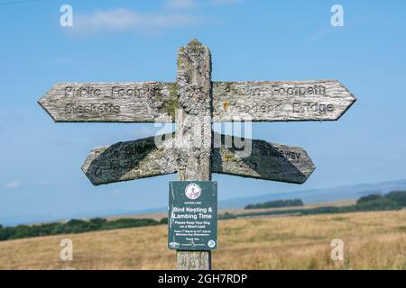 Quattro vie di legno fingerpost marchiando sentieri pubblici, vicino Geltsdale, Cumbria, Pennines Nord Foto Stock