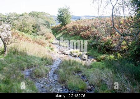 Piccolo torrente e sentiero vicino a Park Gate Coniston Cumbria Inghilterra Foto Stock