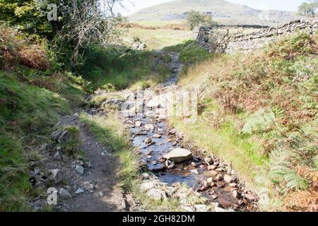 Piccolo torrente e sentiero vicino a Park Gate Coniston Cumbria Inghilterra Foto Stock