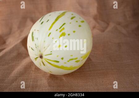 Melone di Ivory gaya con segni verdi e gialli tratteggiati sulla tela di sackcloth marrone. Frutta colorata matura. Foto Stock