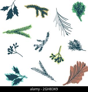 Set di rami disegnati a mano - illustrazione vettoriale Illustrazione Vettoriale