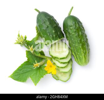 Composizione di cetriolo isolata su sfondo bianco. Fette fresche, fiori e foglie. Vista dall'alto Foto Stock
