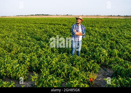 Un agricoltore felice è in piedi nella sua piantagione di peperoni. Foto Stock