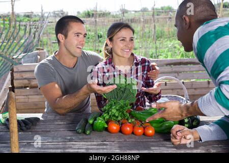 Giardinieri professionisti che parlano dopo la raccolta delle verdure in giardino Foto Stock