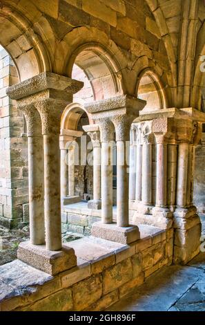 Colpo verticale di colonne e archi nel monastero di Santa Maria la Real ad Aguilar de campo, Spagna Foto Stock