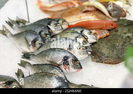 Pesce fresco assortito sul banco ghiaccio nel supermercato Foto Stock