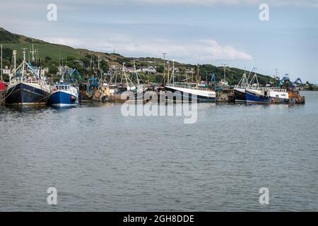 Barche da pesca ormeggiate nel porto con Campbeltown sullo sfondo, Argyll e Bute, Scozia Foto Stock