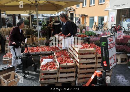 Copenhagen, Denmark.,06 Settembre 2021 ,clienti di fragole presso il venditore di frutta nella capitale danese Copenhagen Danimarca. (Foto..Francis Joseph Dean/Dea Foto Stock