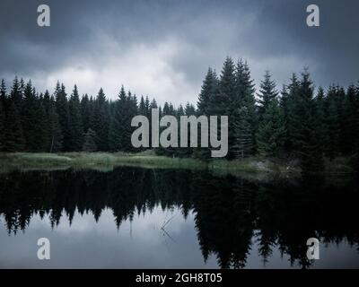 Moody e stagno silenzioso senza persone con atmosfera calma e profonda, alberi riflessi sull'acqua nel mezzo del parco naturale montagne Jizera. Foto Stock