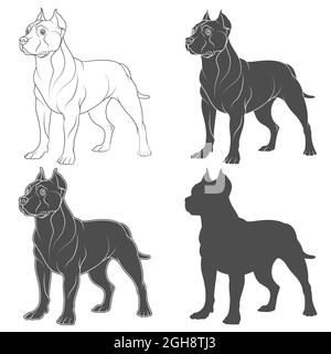 Set di illustrazioni in bianco e nero con un cane pit bull. Oggetti vettoriali isolati su sfondo bianco. Illustrazione Vettoriale