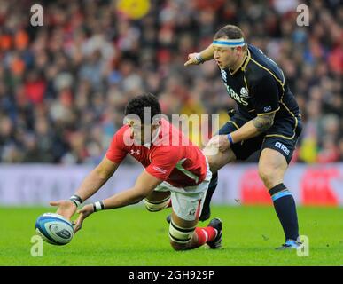 Toby Faletau del Galles tenta di tenere la palla in movimento sotto pressione da Ryan Grant di Scozia durante la partita RBS 6 Nations Championship 2013 tra Scozia e Galles al Murrayfield Stadium di Edimburgo il 09 marzo 2013. Foto Stock