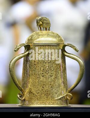 La Calcutta Cup durante il rugby Union RBS 6 Nations match tra Scozia e Inghilterra che si è tenuto al Murrayfield Stadium di Edimburgo, Scozia, l'8 febbraio 2014. Foto Stock