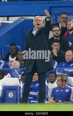 Image #: 39896500 October 3, 2015 - London, United Kingdom - Chelsea's Jose Mourinho looks on Degled..Barclays Premier League - Chelsea vs Southampton - Stamford Bridge - England - 3 October 2015 Foto Stock