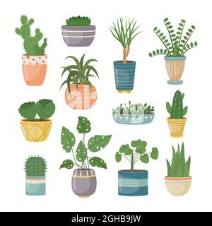 Un insieme di piante di casa in pentole. Piante decorative all'interno della casa. Stile piatto. Illustrazione Vettoriale