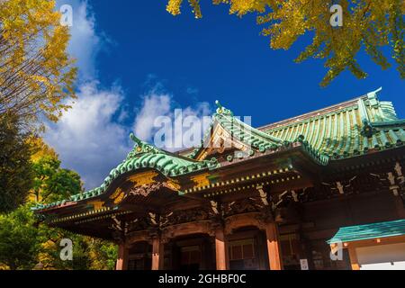 Santuario di Ushijima Sala principale costruita di legno di cipresso hinoki in stile Gongen Dukuri, un bel campione di architettura tradizionale e religiosa japanase Foto Stock