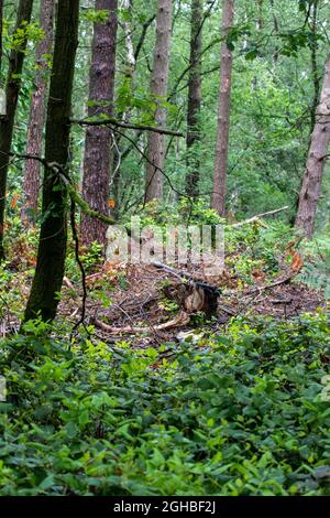 Riprese mozzafiato del paesaggio scattate con una fotocamera Foto Stock