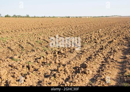 Sfondo agricolo di nuovi campi arati solchi pronti per nuove colture Foto Stock