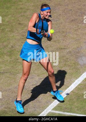 Petra Kvitova durante il giorno sette della Nature Valley Classic a Edgbaston Priory, Birmingham. Data foto: 24 giugno 2018. La riga dell'immagine dovrebbe essere: Matt McNulty/Sportimage via PA Images Foto Stock