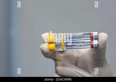 Actrapid insulina umana rDNA penfill 100 UI soluzione per iniezione sottocutanea o endovenosa in cartuccia per l'uso con dispositivi Novo Nordisk Foto Stock
