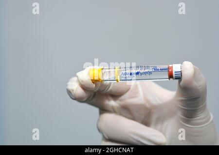 Actrapid insulina umana rDNA penfill 100 UI soluzione per iniezione sottocutanea o endovenosa in cartuccia per l'uso con dispositivi Novo Nordisk Foto Stock